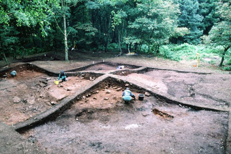 Archaeologists excavating at Heath Wood © History England