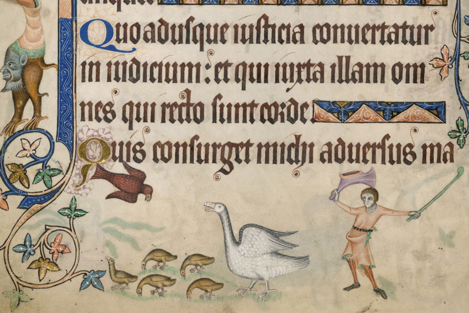 Luttrell Psalter Herding Geese and fighting off hawk Add MS 42130 fol 169v British Library web