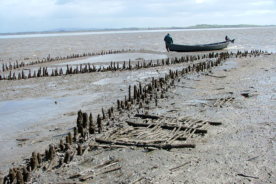 700-year-old fish weir in the Fergus Estuary, County Clare, Ireland, which the UCD archaeologists have been examining © UCD School of Archaeology