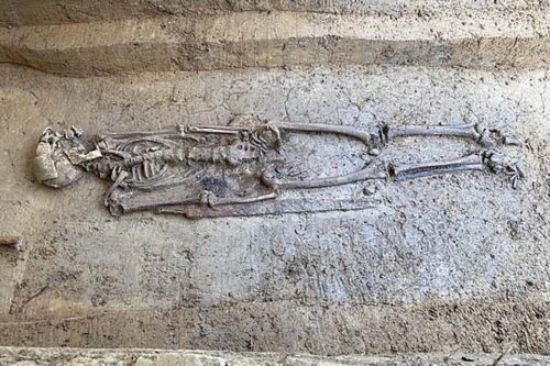 Male skeleton from Knittlingen, 6th century. 