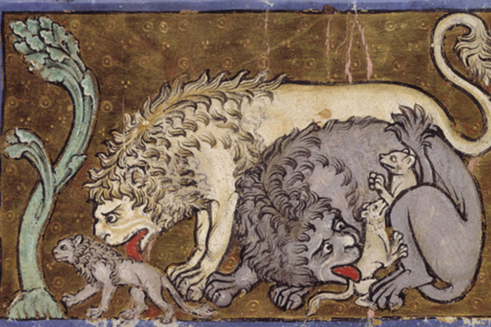 Detail of a miniature of lion cubs born dead and reanimated by their fathers who breathe life into them, in the Bestiary, England (?North or Central), c. 1200–c. 1210, Royal MS 12 C XIX, f. 6r
