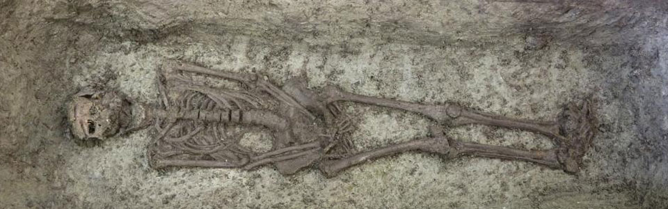 Skeleton from the cemetery at Rådhuspladsen © Copenhagen Museum