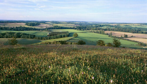 The South Downs © Visit Hampshire