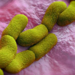 Yersinia Pestis source of early medieval Justinian plague