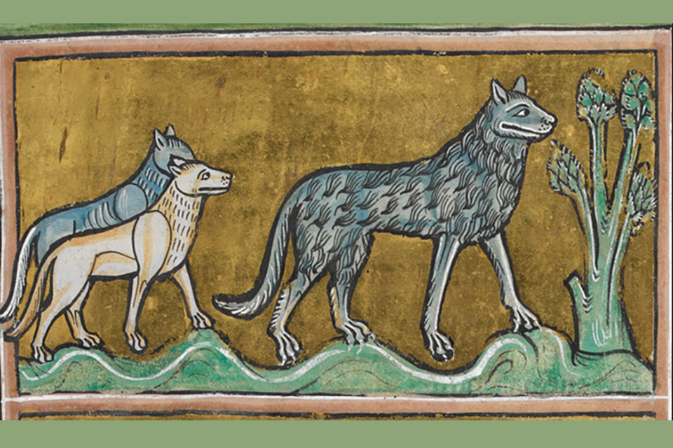 Wolves from the Rochester Bestiary © British Library Royal MS 12 F. xiii, f. 29 (CC)