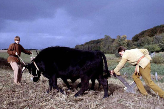 Ploughing with an ard © National Museum of Copenhagen