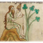 The bearded woman of Limerick, Gerald of Wales, Topographia Hiberniae , London BL Royal 13 B VIII, fol. 19r, c. 1196-1223, a book owned by a fifteenth-century monk of St Augustine’s Abbey, Canterbury