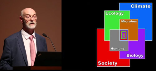 Bruce M. S. Campbell explaining his model behind his understanding of the elements of history behind the Great Transition.