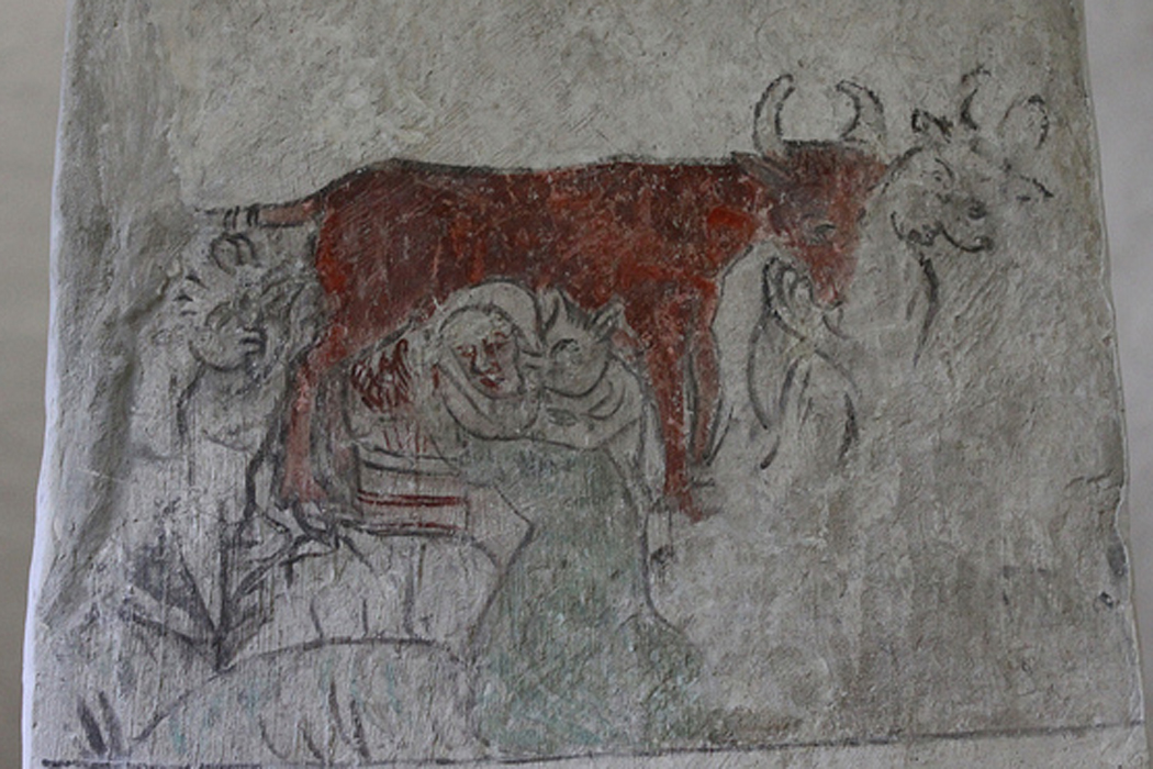 Endre church in Gotland, Sweden. Cow being milked