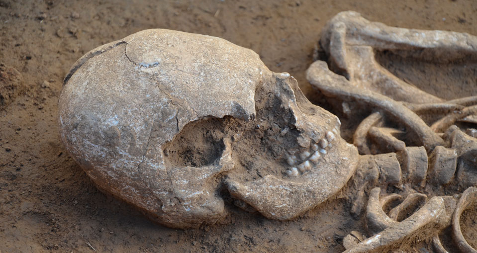 Female with elongated cranium found at Seysses. Grave no 1046. © Hadès 2018