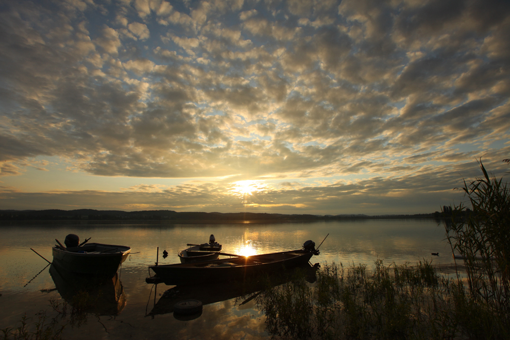 Fishingboat at Reichenau