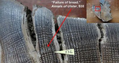 An ancient Irish oak sample from a bog in Ulster shows narrowing of tree rings indicating very dry conditions leading to the “failure of bread”, as described in the Annals of Ulster. Source: Francis Ludlow