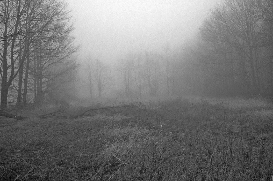 Fog in spring Source: picsofcanada/2007