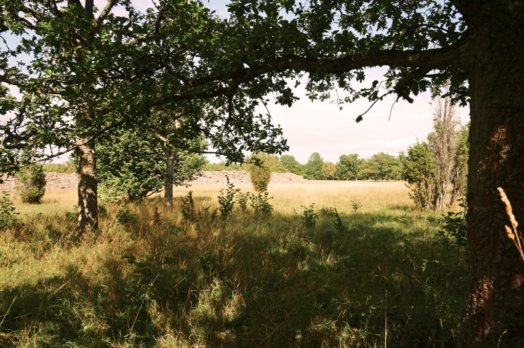 Ismantorp on Öland - Wikipedia