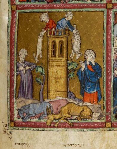 Murrain. From: Golden Haggadah. Biblical scenes based on Genesis, 19-37. Northern Spain, probably Barcelona, c.1320 British Library Add. MS. 27210