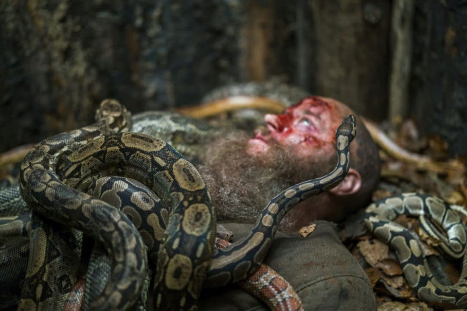 Ragnar Lodbrog dying in the Snake Pit