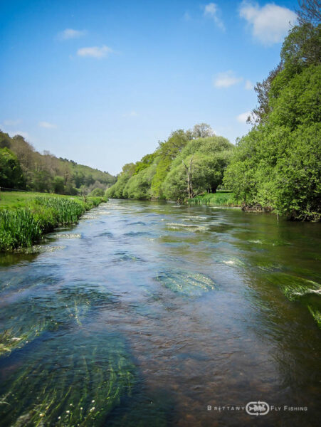 River Aulne © Brittany Flyfishing