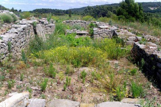 Ruins of the Visigothic church at St-Côme © Val Wineyard