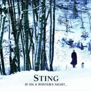Sting cover a Winters Night