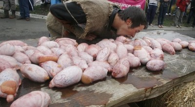 testicles of the bulls for sale at Testicle Festival, Clinton, Montana.