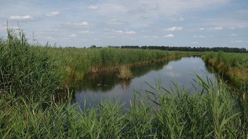 The Trene -Ejder depression near the estuary and Hollingstedt. Source: Wikipedia/Dirk Ingo Franke 