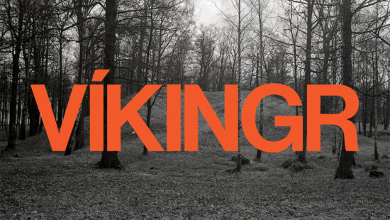 Logo of Viking Exhibition Oslo 2019
