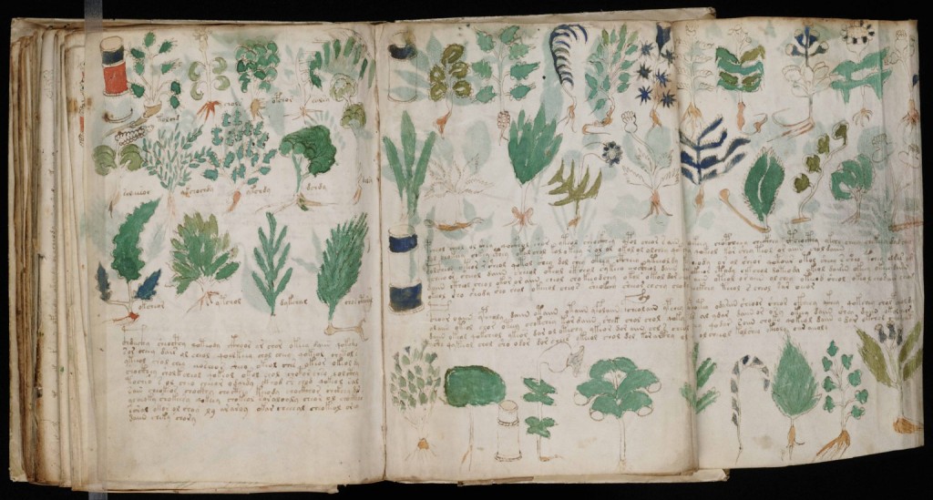 The Voynich Manuscript - Medieval Histories