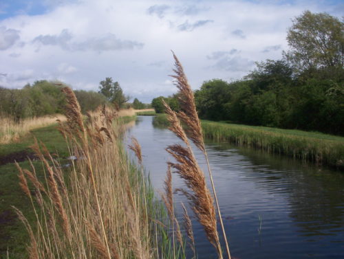 Lode in the Wicken Fens