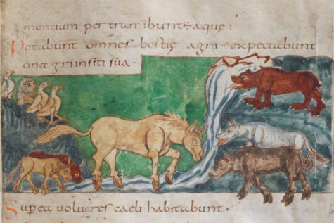 Wild Animals attacking domestic animals from Stuttgarter Psalter c. 840, Cod Bib 23, f 117c. CCO